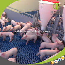 Hot Sale Hot Galvanzied Pipe Livestock Equipment Pig Weaner Pening